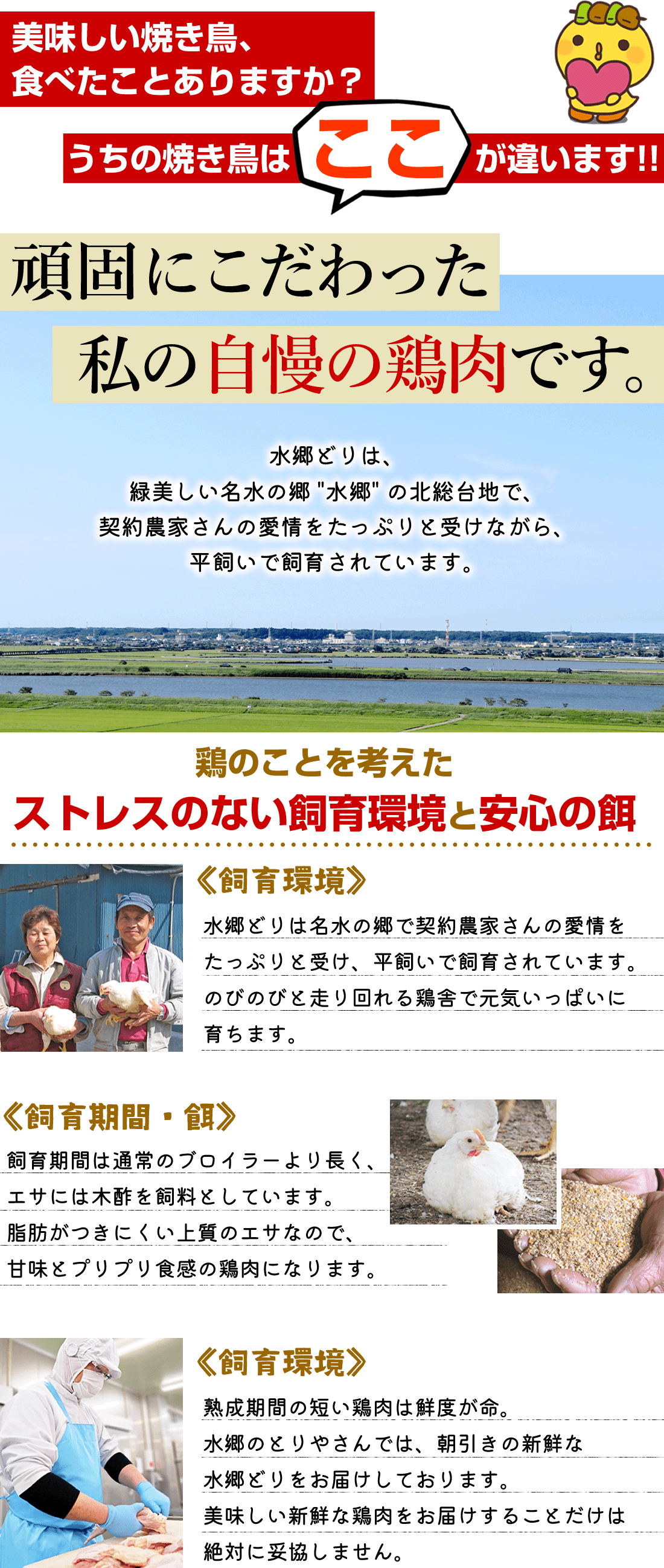 父の日限定地ビールと焼き鳥３種セット