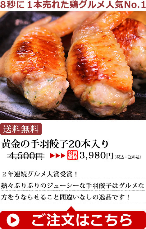手羽餃子20本セット