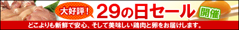 29の日セール