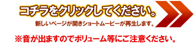 水郷のとりやさんムービー