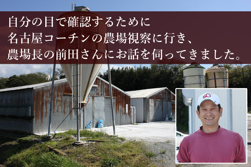 地鶏の王様名古屋コーチン