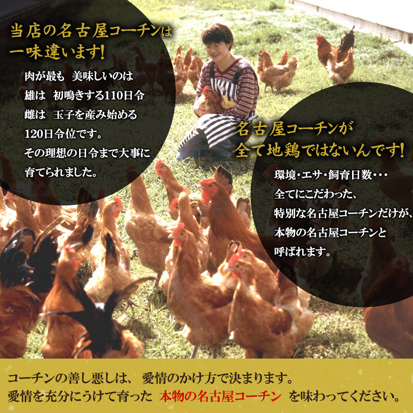 名古屋コーチン