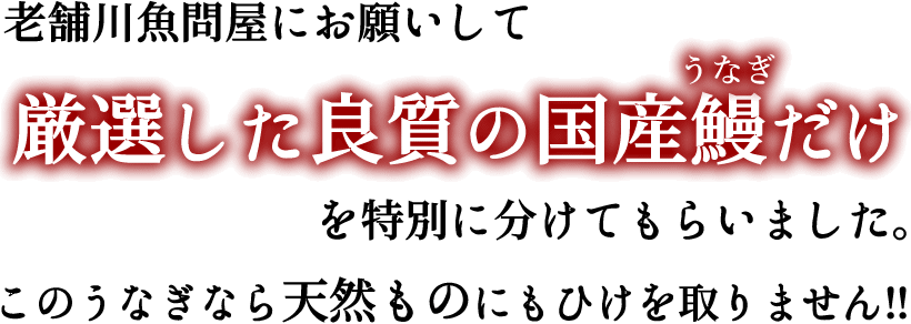冬の鰻