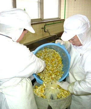 柚子と檸檬の下総ぽん酢醤油