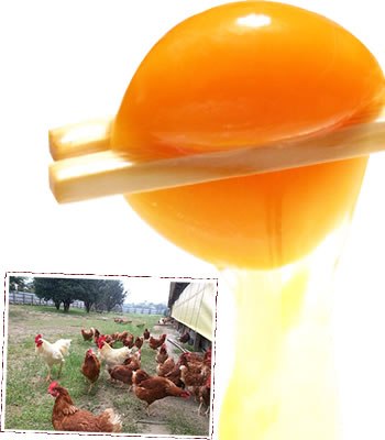 小江戸親子焼き