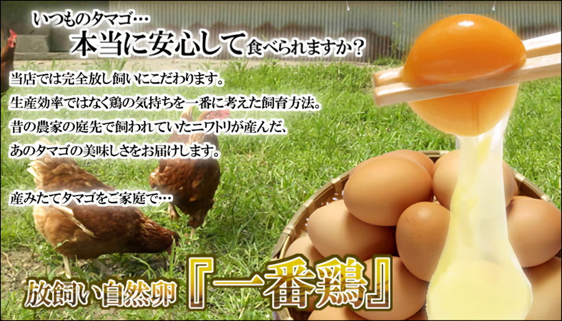 放し飼い自然卵一番鶏