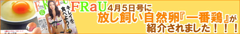 放し飼い自然卵『一番鶏』