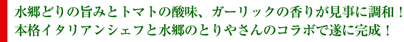 ガーリックトマトソース