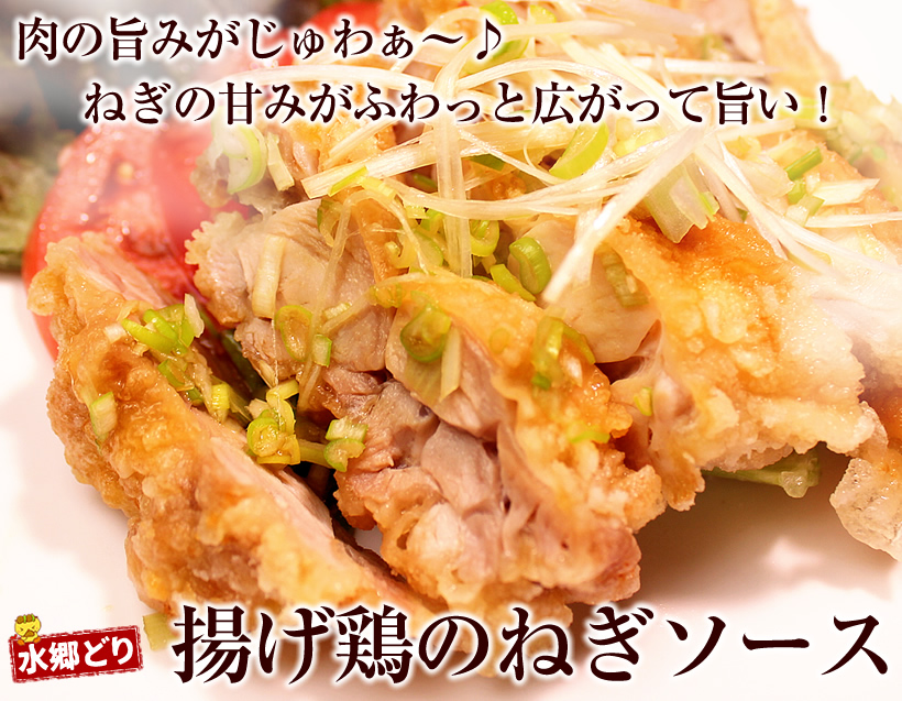 揚げどりのねぎソース