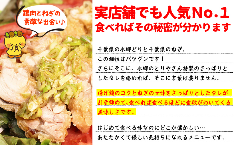 揚げどりのねぎソース