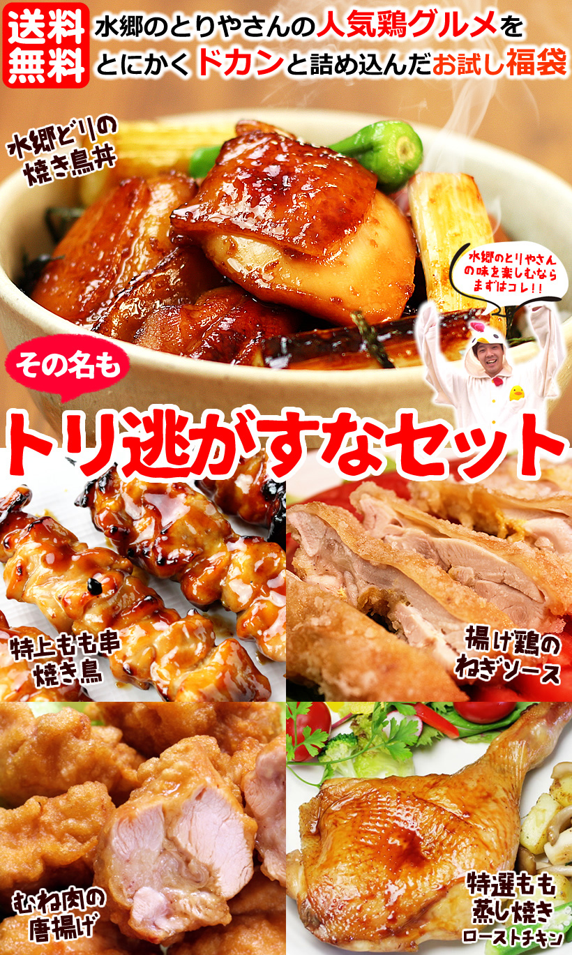 トリ逃がすなセット