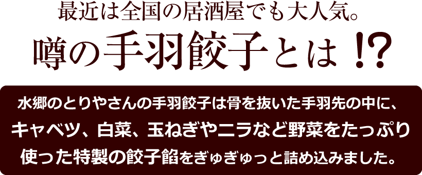 スタジアムグルメセット