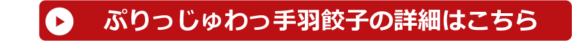 スタジアムグルメセット