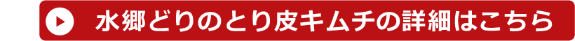 スタジアムグルメセット