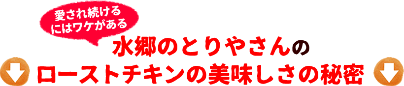 スタジアムグルメセット