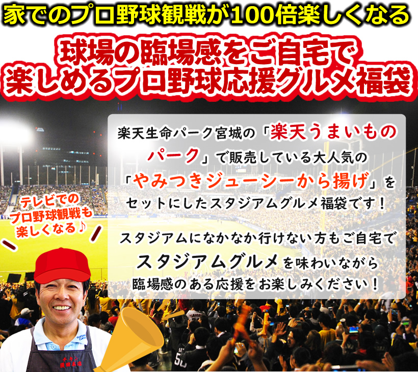 スタジアムグルメセット