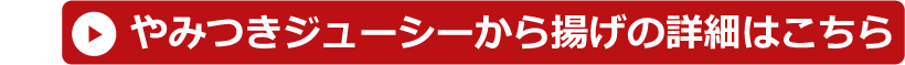 スタジアムグルメセット