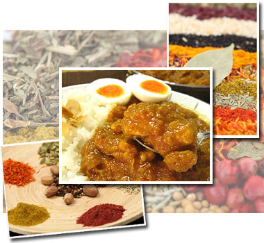 水郷どりカレー