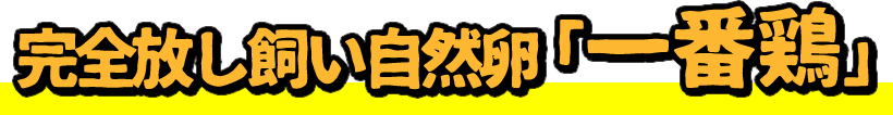 開運たまごと水郷どりの親子丼セット