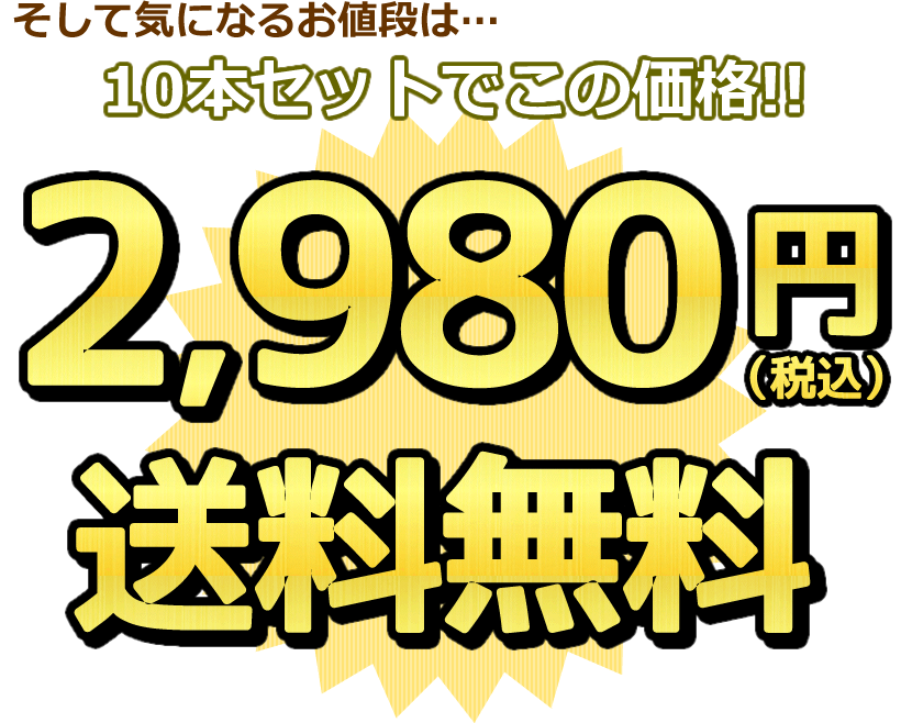 送料無料