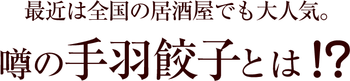 噂の手羽餃子とは!?