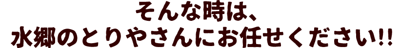 噂の手羽餃子とは!?
