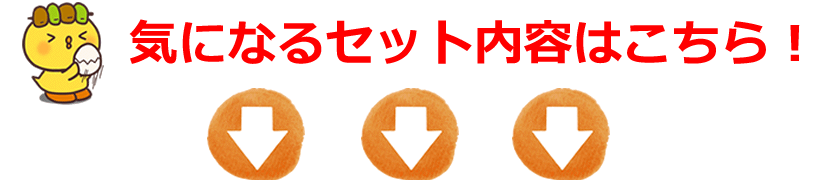 セット内容はコチラ