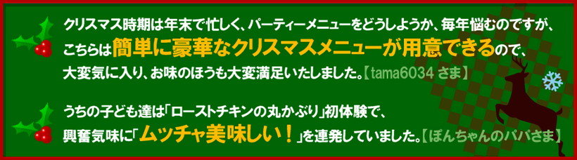 クリスマスパーティーセット