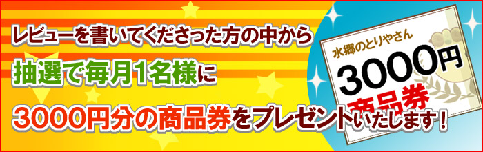 レビュー
