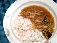 鶏肉レシピ 長ネギカレー