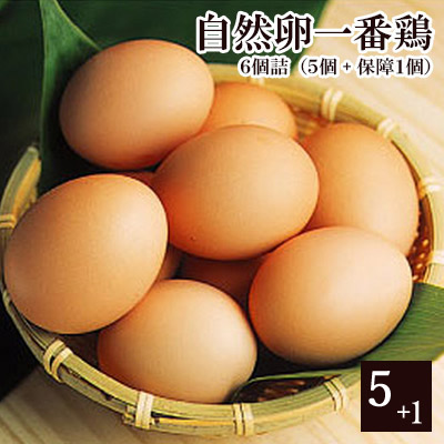 放し飼い自然卵