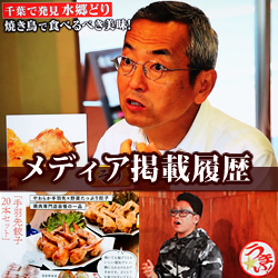 紹介メディア一覧